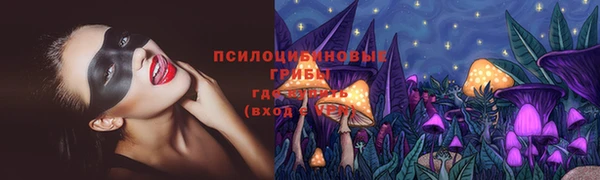 бутират Алзамай